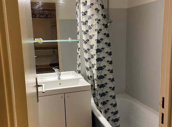 Apartment Centre Station - La Foux D'allos - T2 Allos